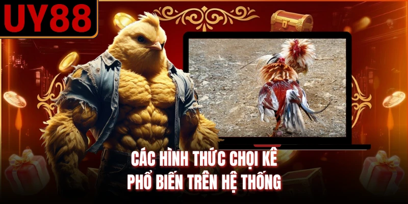 Các hình thức chọi kê phổ biến trên hệ thống