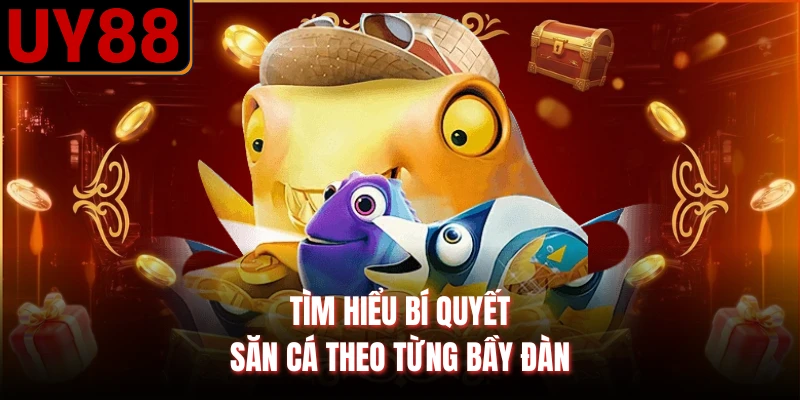 Tìm hiểu bí quyết săn cá theo từng bầy đàn